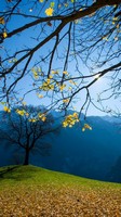 descargar wallpaper de Naturaleza